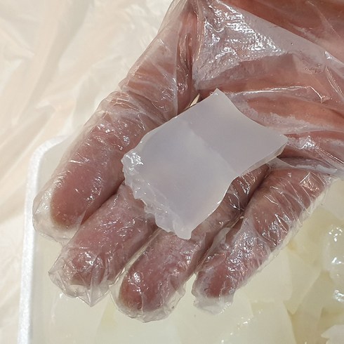 독도사랑 포항죽도시장 자연산 개복치 500g, 1팩, 개복치500g