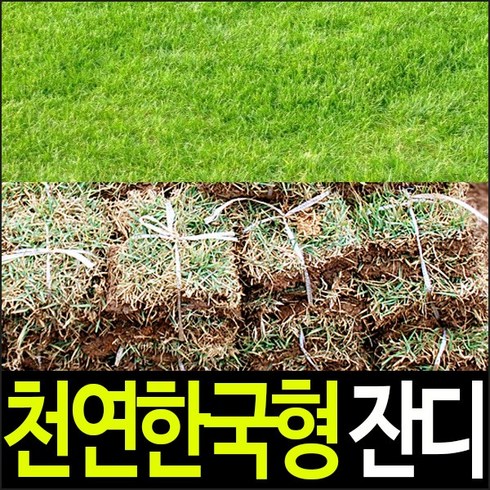 순희농장 한국형잔디(18*18), 25장