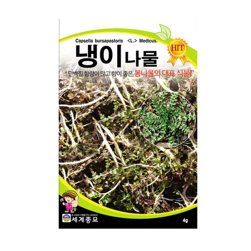 냉이나물 TOP01