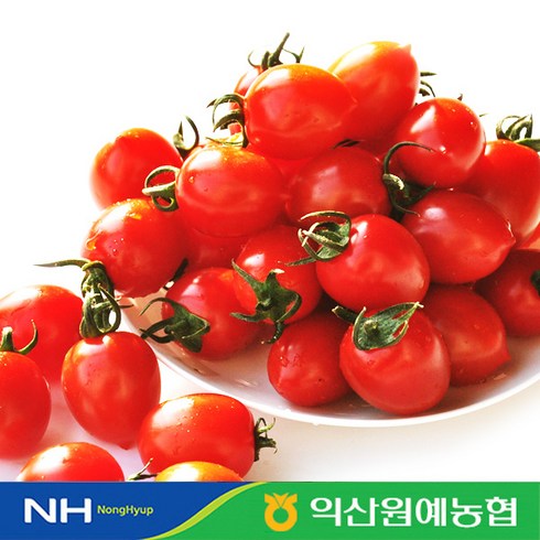 익산원예농협 TOP01