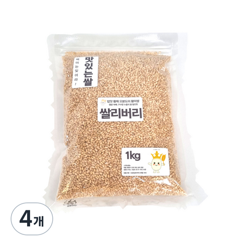 오분도미 5분도 쌀 황미 일반지퍼백, 1kg, 4개
