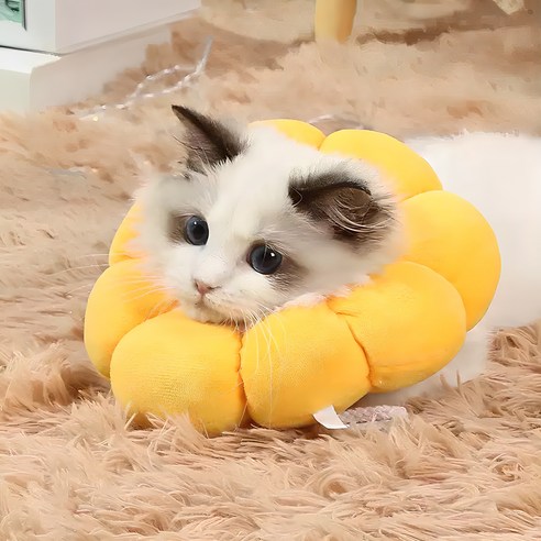 [OKㅣ강추] 딩동펫 반려동물 폭신 해바라기 넥카라 쿠션 [OKNOWㅣ추천상품]