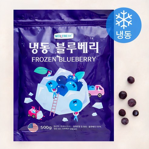 웰프레쉬 냉동 블루베리 (미국산) 500g, 1봉