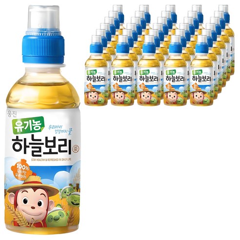 웅진 유기농 하늘보리차, 보리차, 200ml, 48개