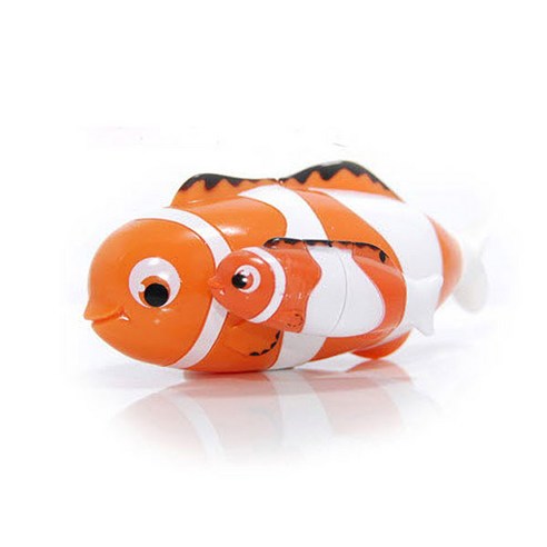 스플래쉬대셔 물고기, 혼합색상, 1개