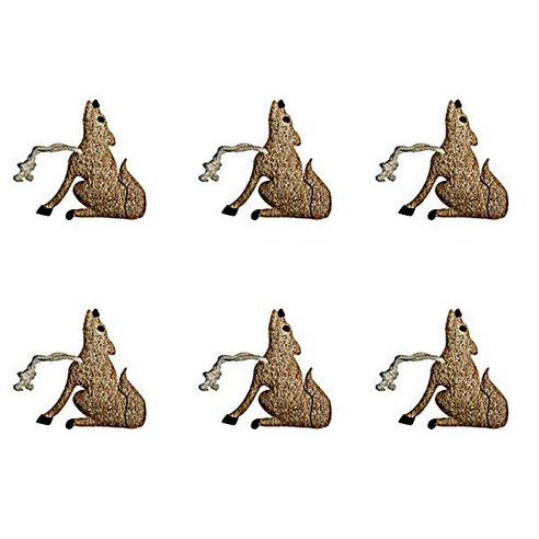 [루파아트]코요테(coyote), 1개입, 6개