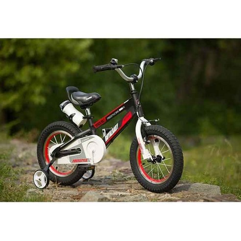 안전하고 즐거운 첫 자전거 경험, 로얄베이비 스페이스 넘버원