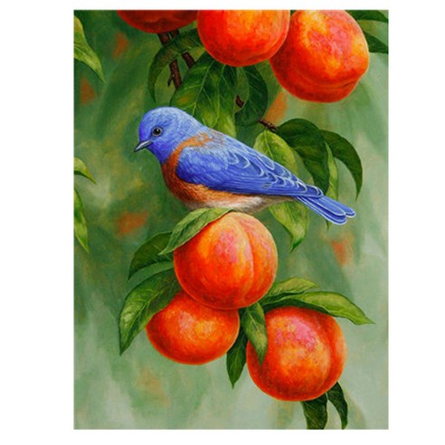 지인데코 반하지오 DIY 명화그리기 세트, 파랑새