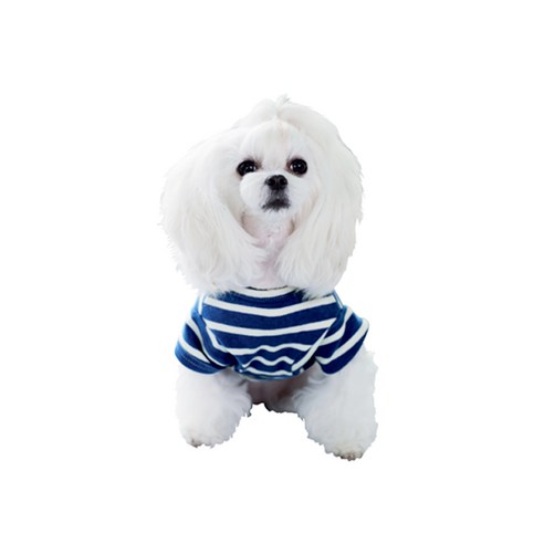 앙블리 강아지 스트라이프 티셔츠, 블루, 1개