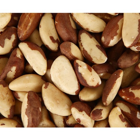 너트리 브라질너트, 500g, 1개