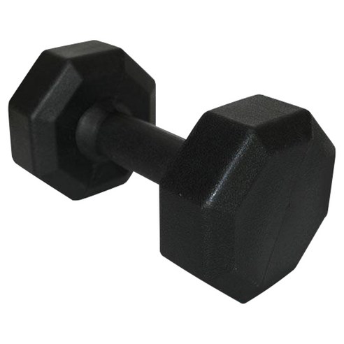 유레카스포츠 팔각 아령, 10kg, 1개