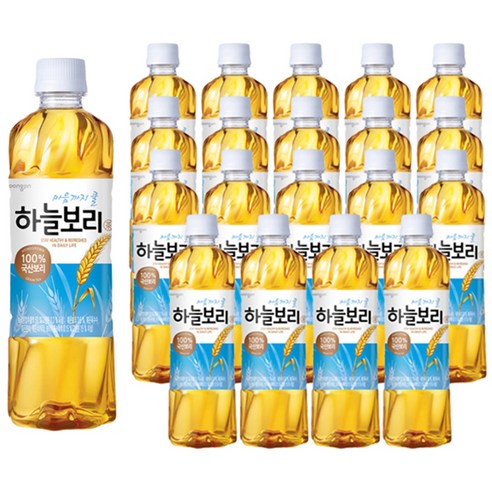 웅진 하늘보리