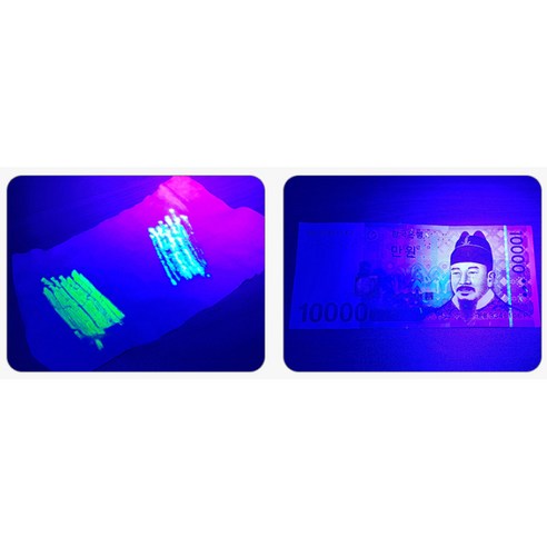 로버스트 블랙라이트 자외선램프 손전등 UV 12LED, 1개