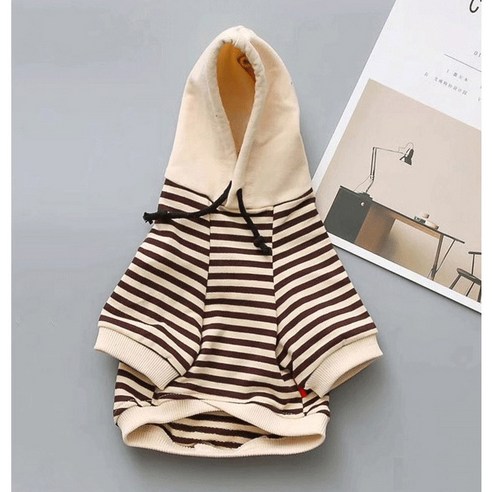반려견을 위한 편안하고 세련된 봄철 필수품