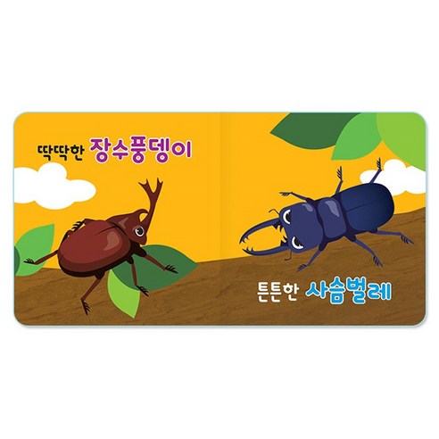 별초롱 그림책 세트 보드북 로켓배송 할인율 총평가수