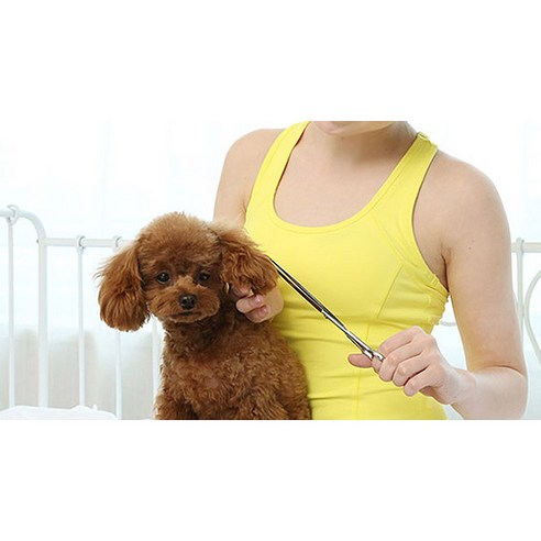 반려동물의 완벽한 미용을 위한 제스파 피카노리 커브가위