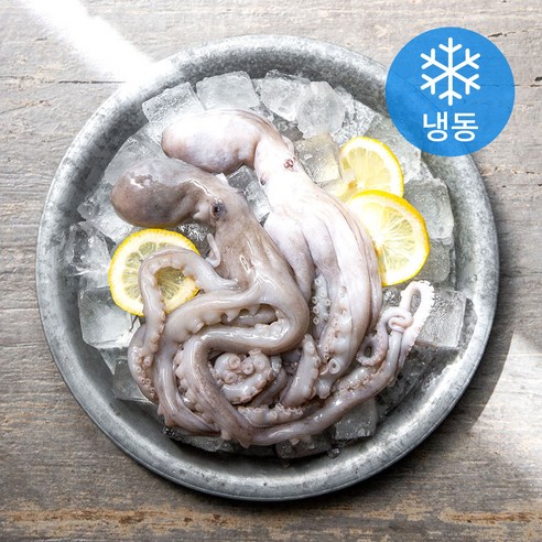 서풍 국산 통낙지 (냉동), 300g, 1개