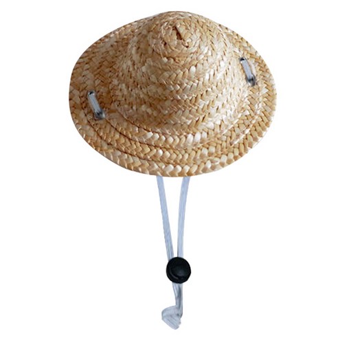 블럭마트 애견 고양이 밀짚모자, typeA, 1개