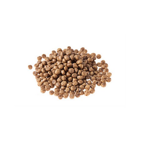  인터펫코리아 전연령용 도비 올라이프 건식사료, 닭, 10kg, 1개 