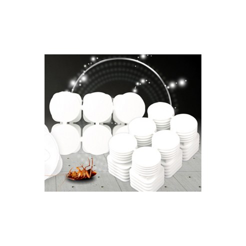 신뢰할 수 있는 바퀴벌레 퇴치 솔루션