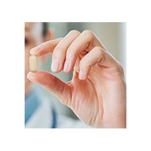 홀리데이즈 가르시니아 800, 120정, 1개