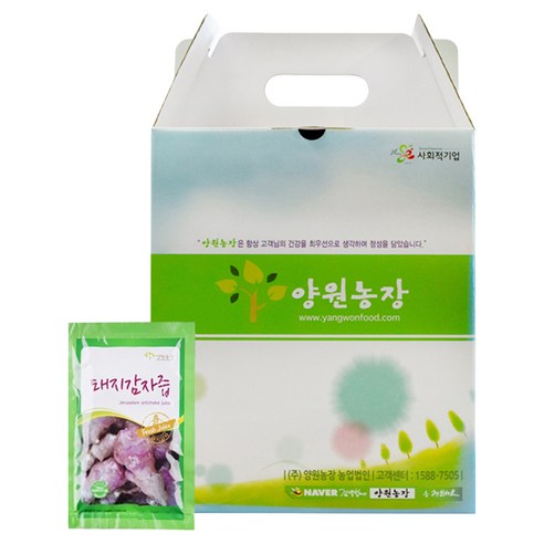 양원농장 돼지감자즙, 50개입, 80ml