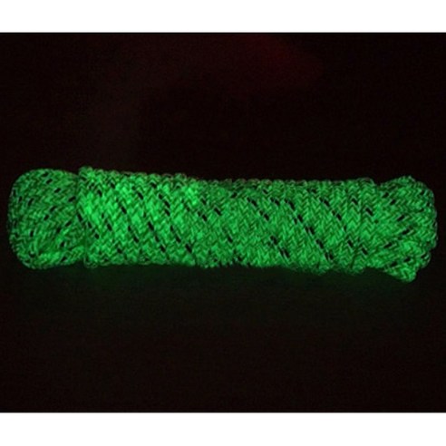 어둠 속에서 빛나는 당신의 아이디어, 앤트 야광스트링