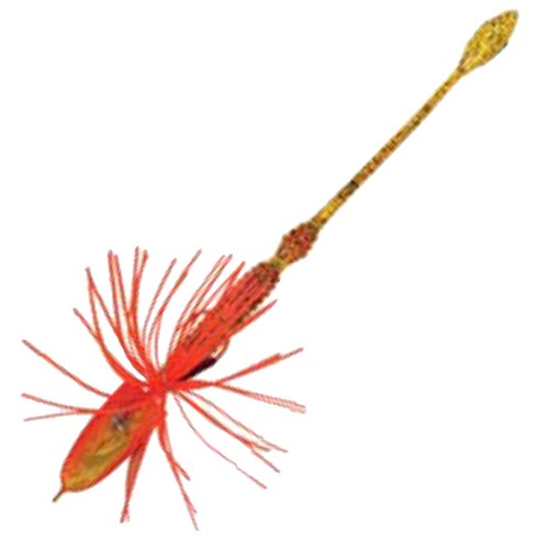 다미끼 마우스린 루어, 04 H GOLD ORANGE, 10g