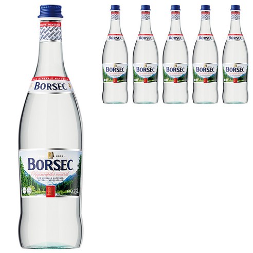 보르섹 탄산수, 750ml, 12개