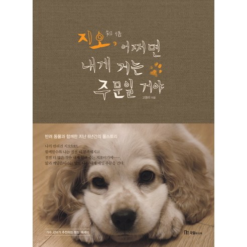 지오 어쩌면 내게 거는 주문일 거야:반려 동물과 함께한 지난 6년간의 풀스토리, 국일미디어, 고영리 저
