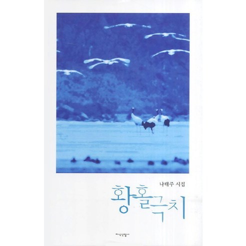 황홀극치:나태주 시집, 지식산업사, 나태주 저