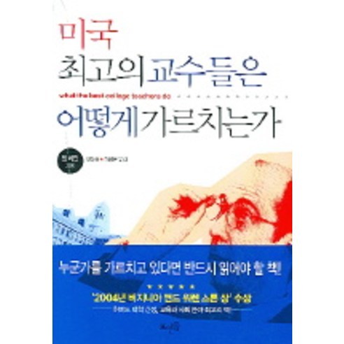 미국 최고의 교수들은 어떻게 가르치는가, 뜨인돌출판사, 켄 베인 저/안진환,허형은 역