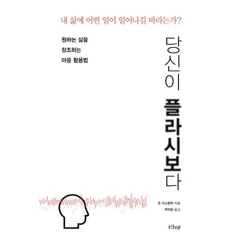 당신이 플라시보다:원하는 삶을 창조하는 마음 활용법, 샨티