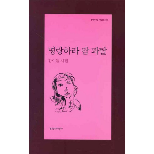 명랑하라 팜 파탈:김이듬 시집, 문학과지성사, 김이듬 저