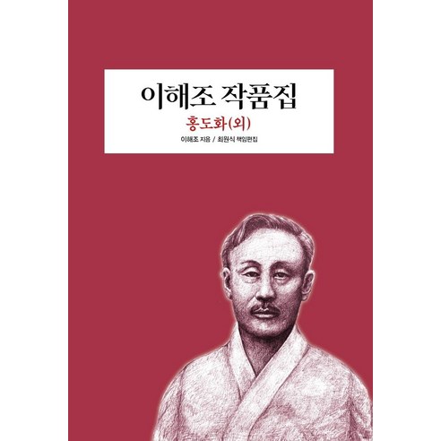 이해조 작품집:홍도화(외), 범우