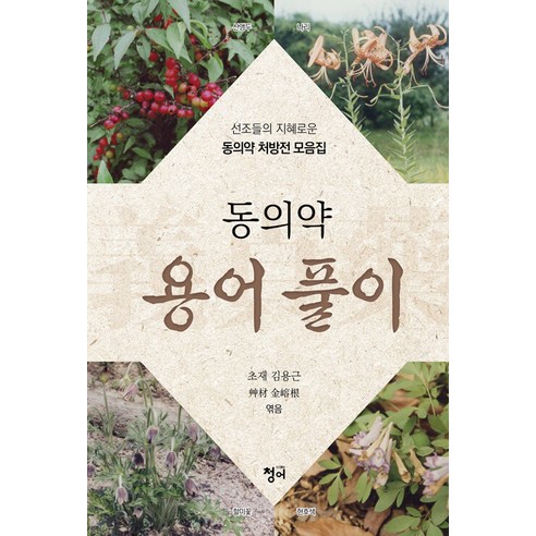 [Herring] 東方醫學術語詞彙：東方醫學祖先的智慧處方集 Herring Kim Yong-geun 9791168551268 自然科學