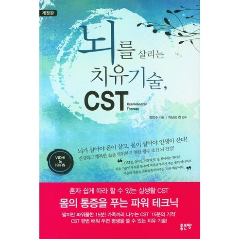 [좋은땅]뇌를 살리는 치유 기술 CST (개정판), 좋은땅, 정인수