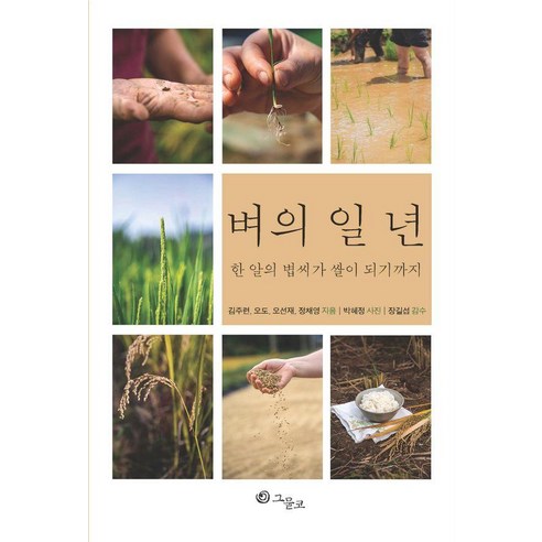 벼의 일 년:한 알의 볍씨가 쌀이 되기까지, 그물코, 김주련 오도 오선재 정채영