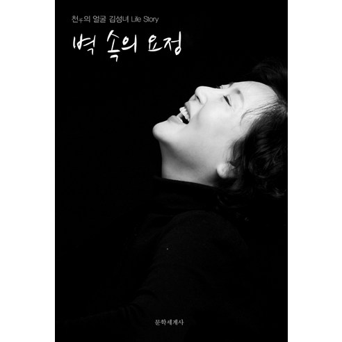 벽 속의 요정:천의 얼굴 김성녀 Life Story, 문학세계사, 김성녀 자