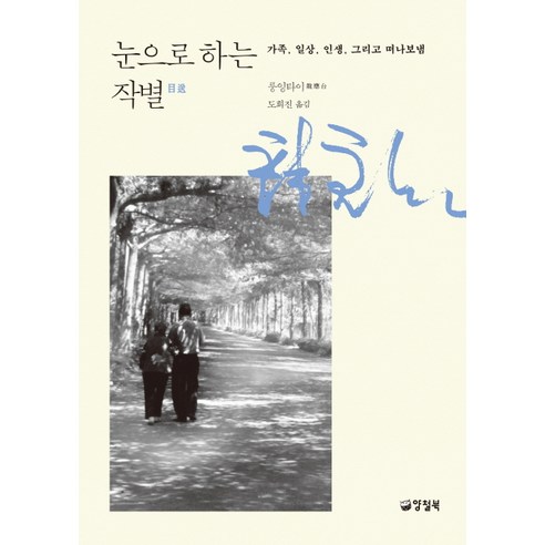 눈으로 하는 작별:가족 일상 인생 그리고 떠나보냄, 양철북, 룽잉타이 저/도희진 역
