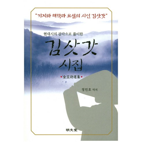 김삿갓 시집:현대시의 감각으로 풀이한, 명문당, 정민호 역