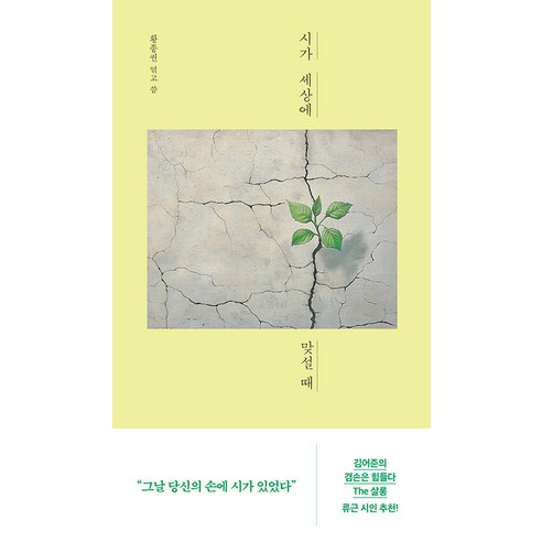 [마이디어북스]시가 세상에 맞설 때 - 한국 에세이 | 쿠팡