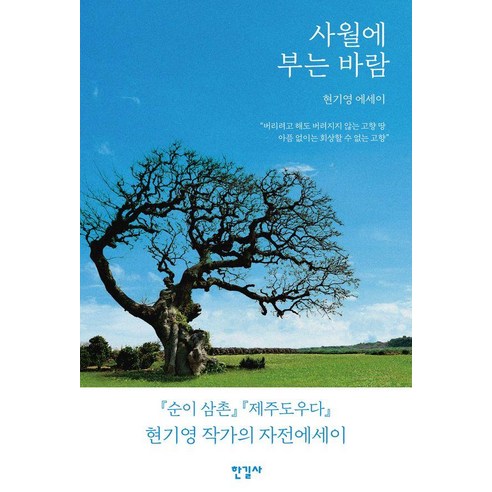 사월에 부는 바람:현기영 에세이, 사월에 부는 바람, 현기영(저), 한길사, 현기영