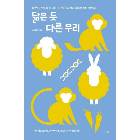 Youngwoong Kim 我們看起來相似但我們不同 Melody 9791188887163