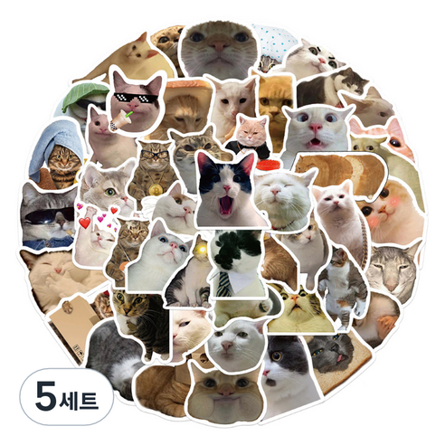 특별한상점 노트북 캐리어 여행 귀여운 고양이 스티커 세트 GT216, 미야오 월드, 5세트