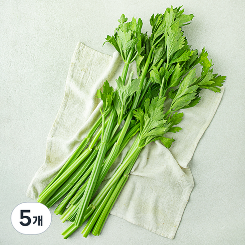 친환경 주스용 샐러리, 500g, 5개