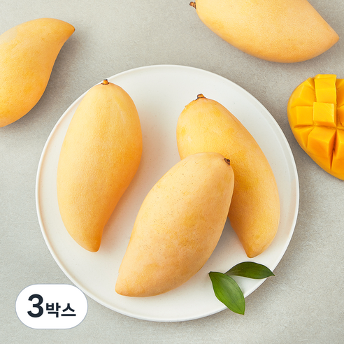 [로켓프레시] 이웃마을 태국산 남독마이 망고