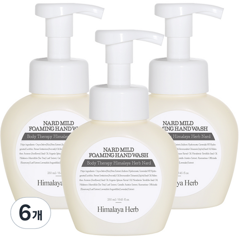 부케가르니 나드 마일드 포밍 핸드워시 오렌지껍질, 250ml, 6개