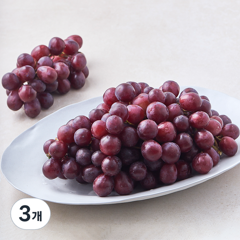수플린 칠레산 적포도 잭살룻, 3개, 1.5kg