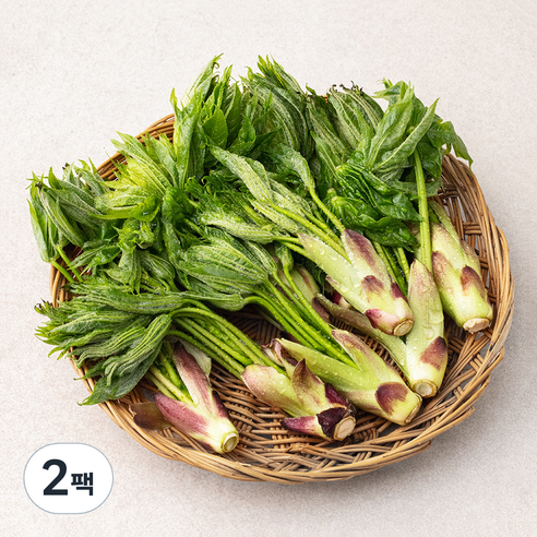 국내산 개두릅, 150g, 2팩
